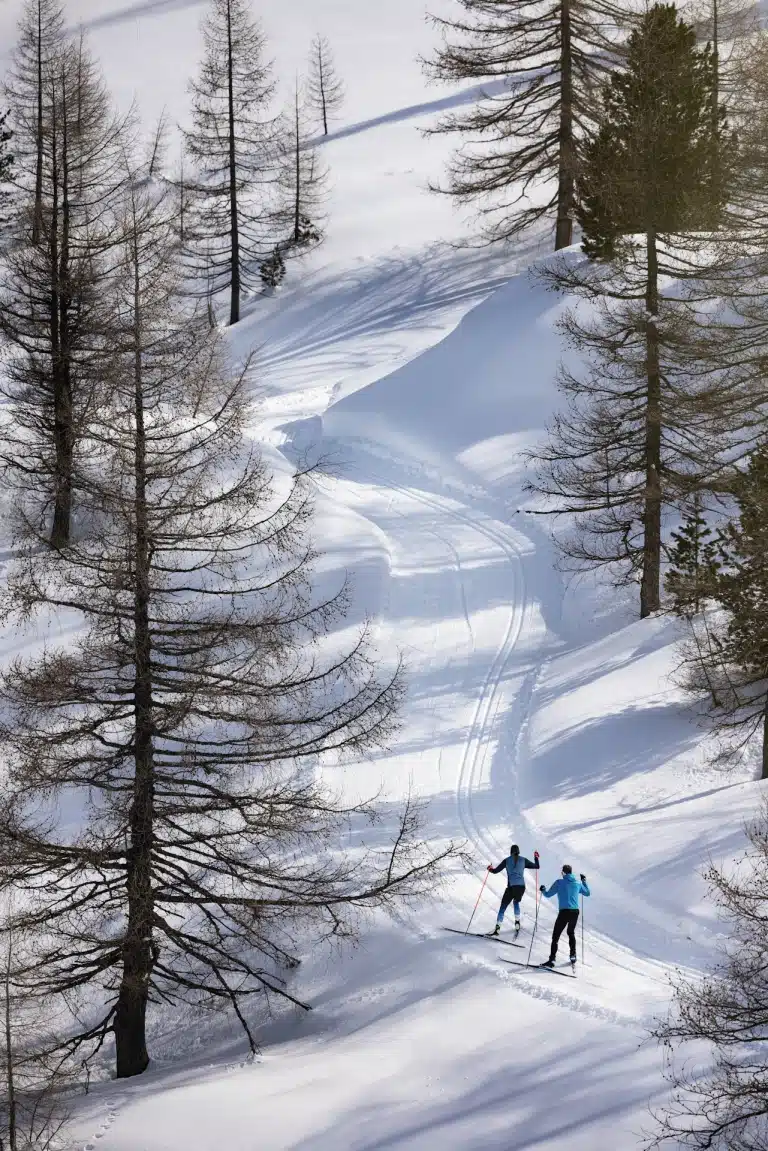 Langlaufloipe durch den Wald